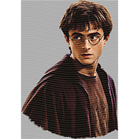 Harry Potter-HP 156